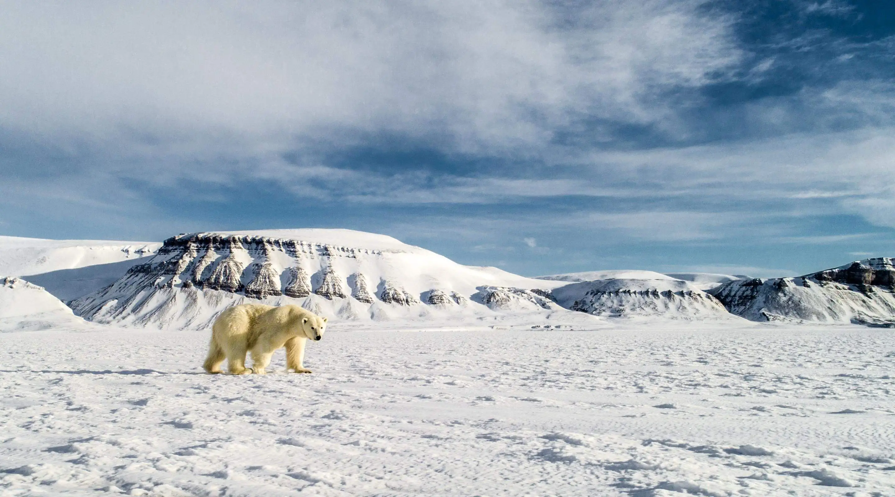 Expedition to Arctic