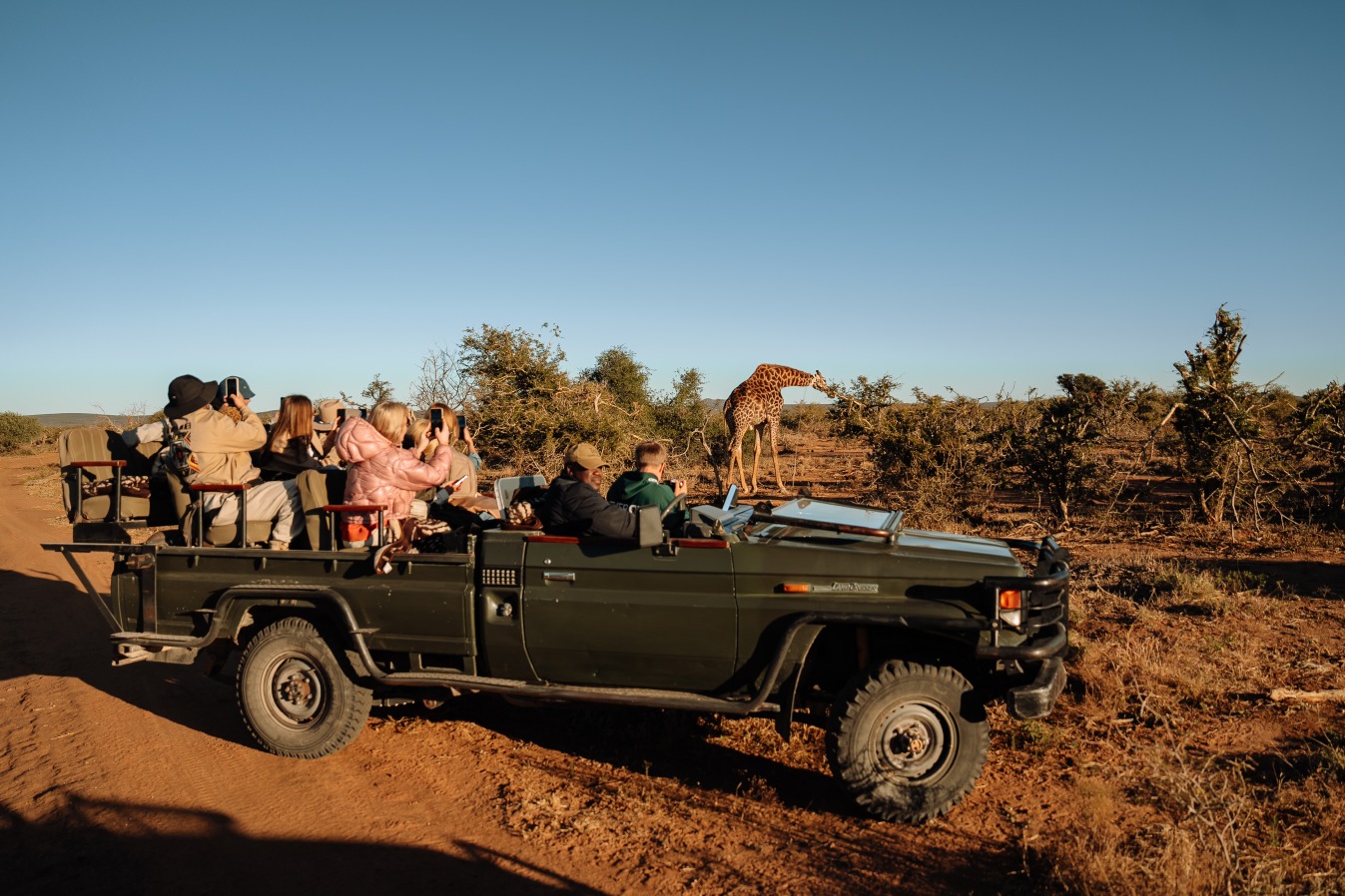 Отдых в Африке: куда поехать, какие страны выбрать для путешествия