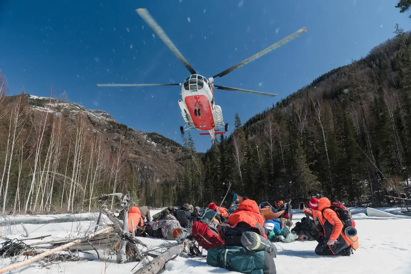 Special projects: “Survival” 