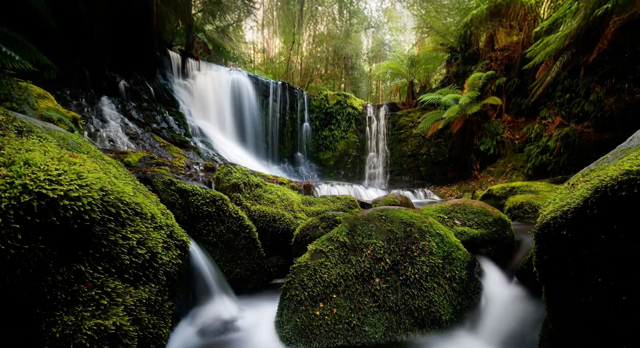 Walking in Tasmania's Wilderness