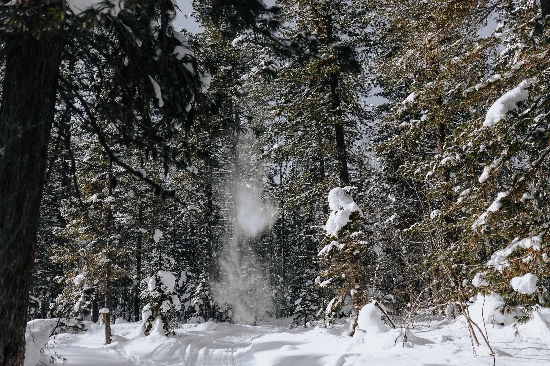 Baikal 5.0. photo 116