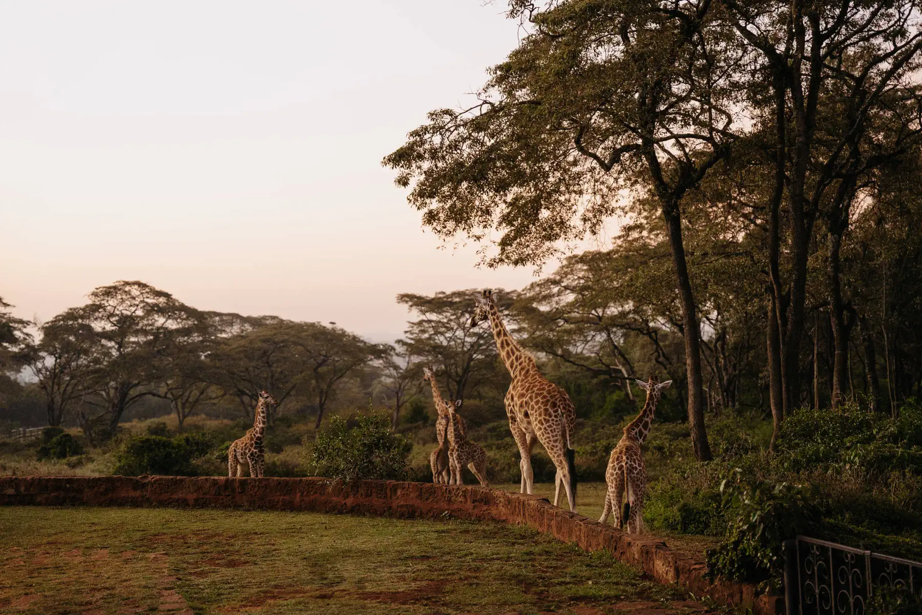 Kenya. photo 23