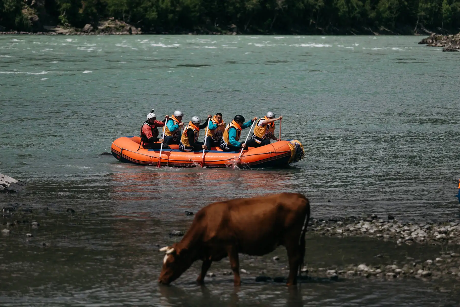 VIP-rafting in Altai. photo 32