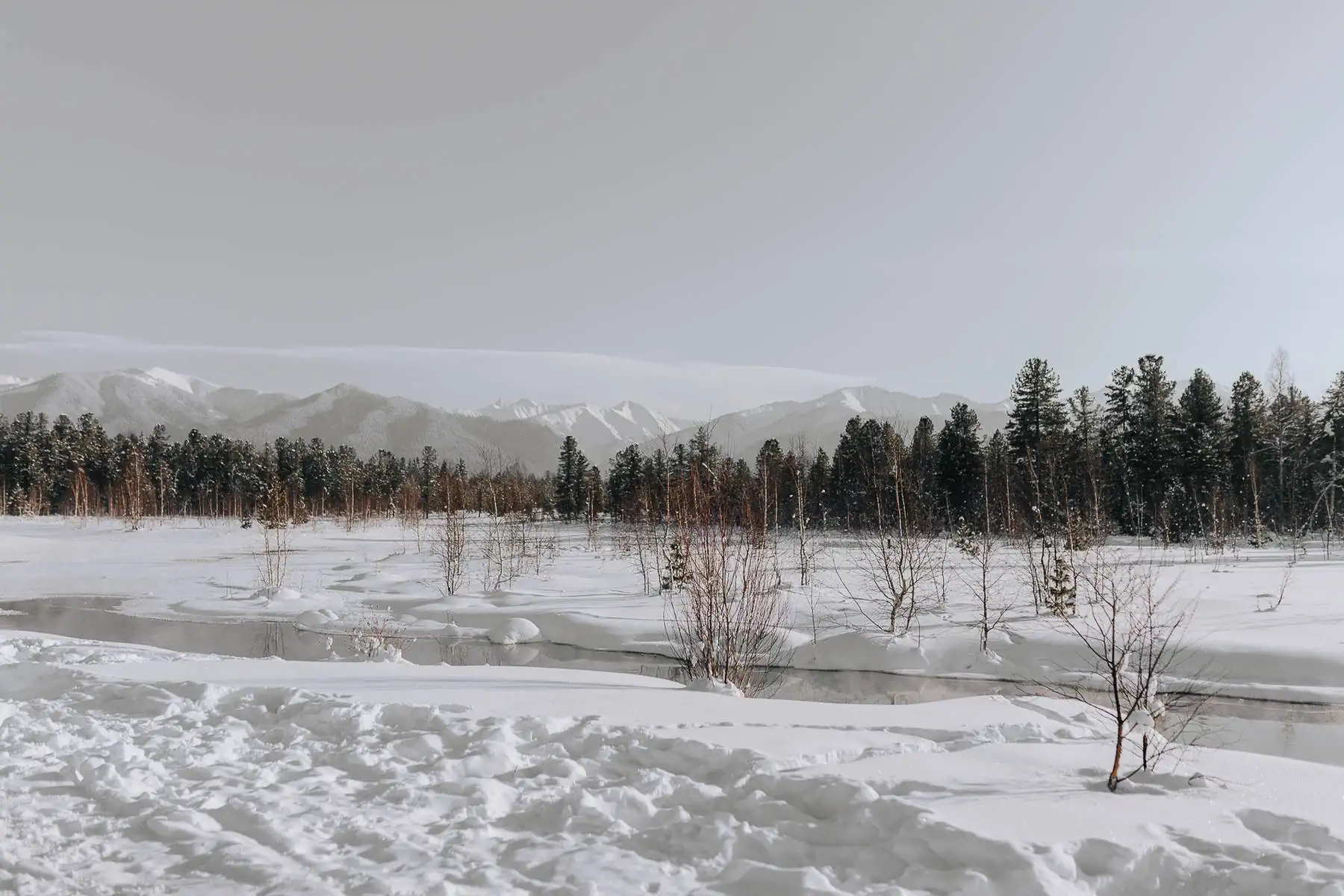 Baikal 5.0. photo 57