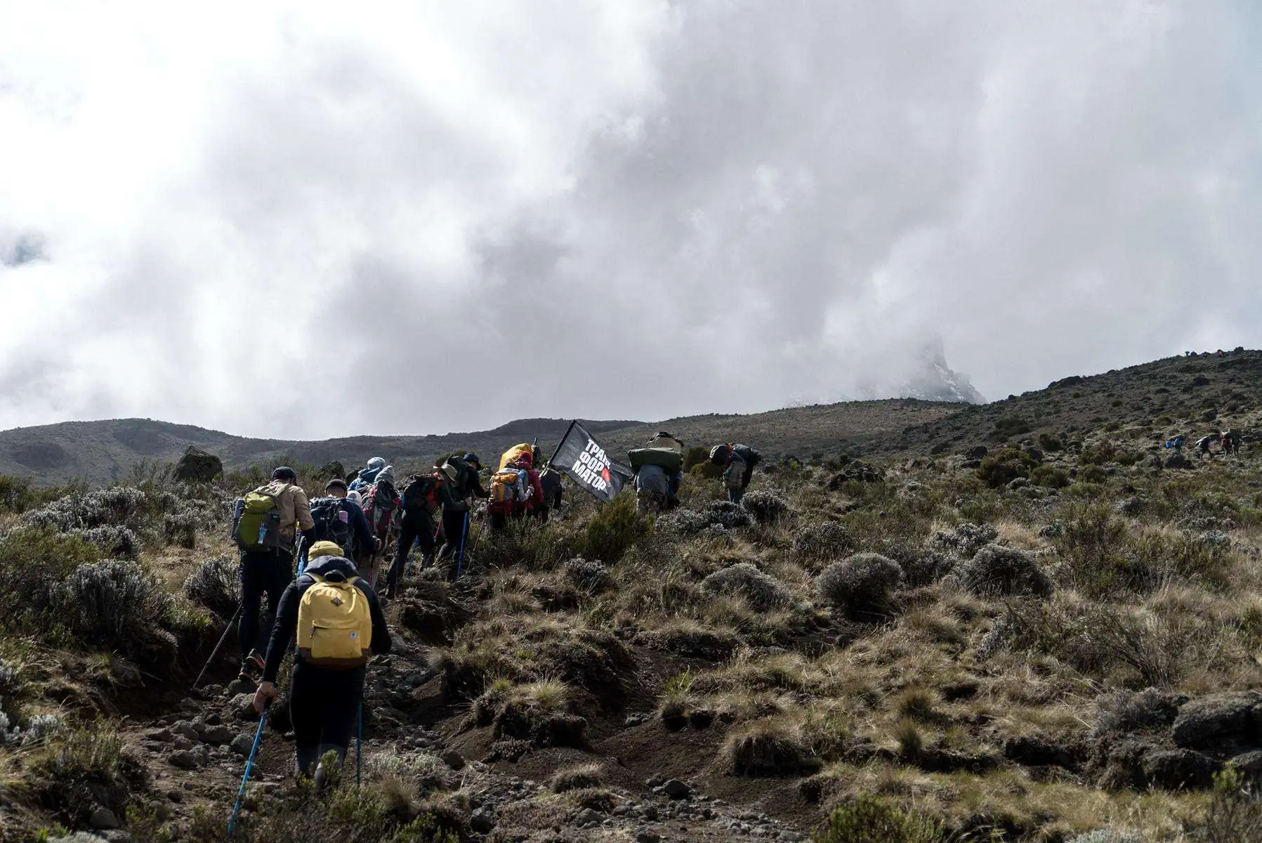 Climbing Kilimanjaro. photo 34