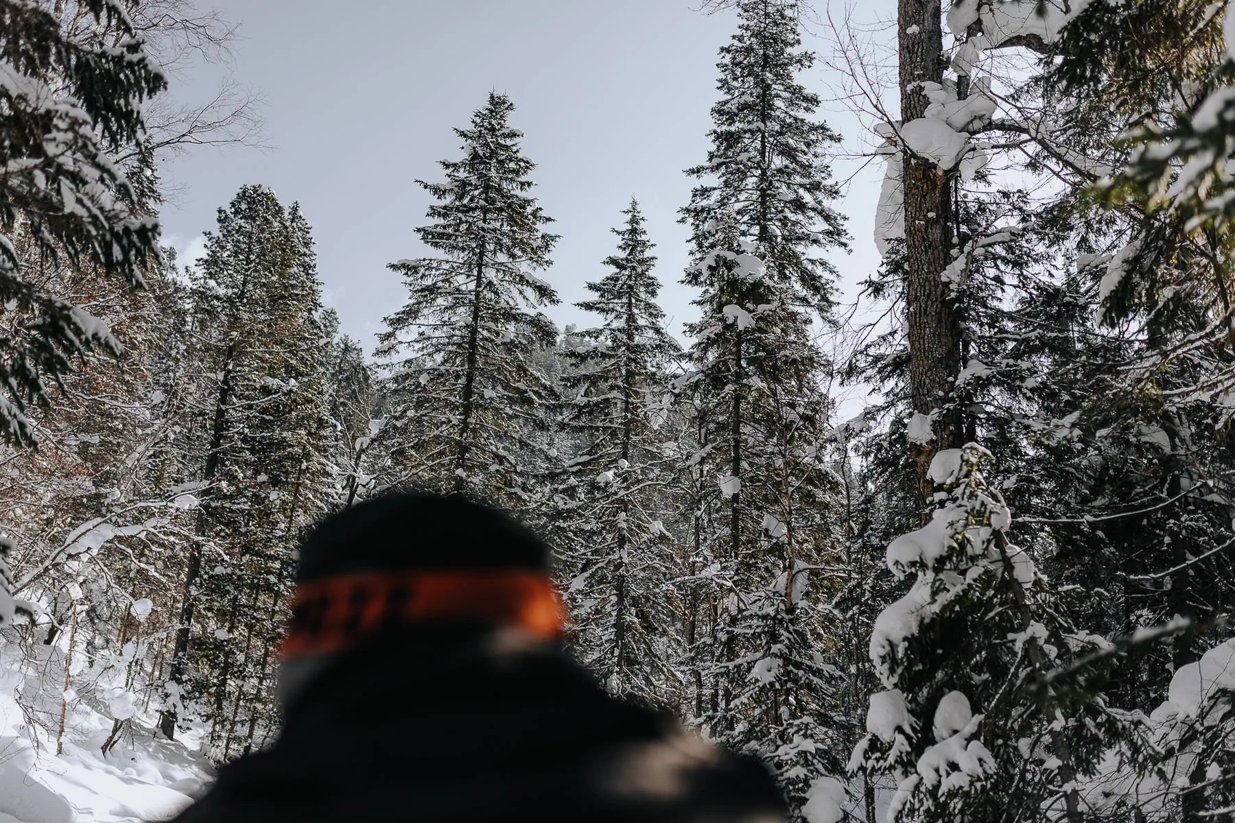 Baikal 5.0. photo 118