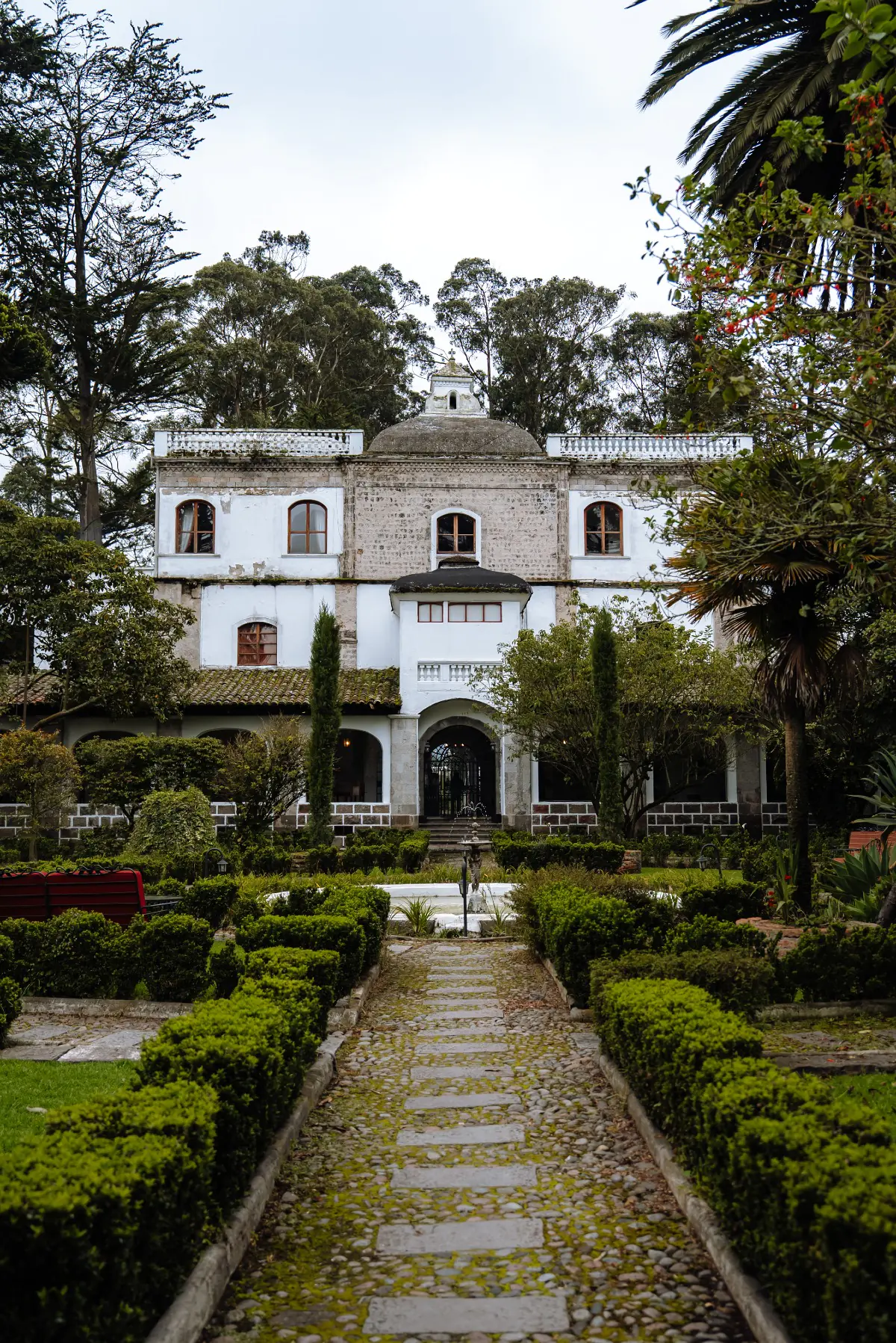 . photo 61